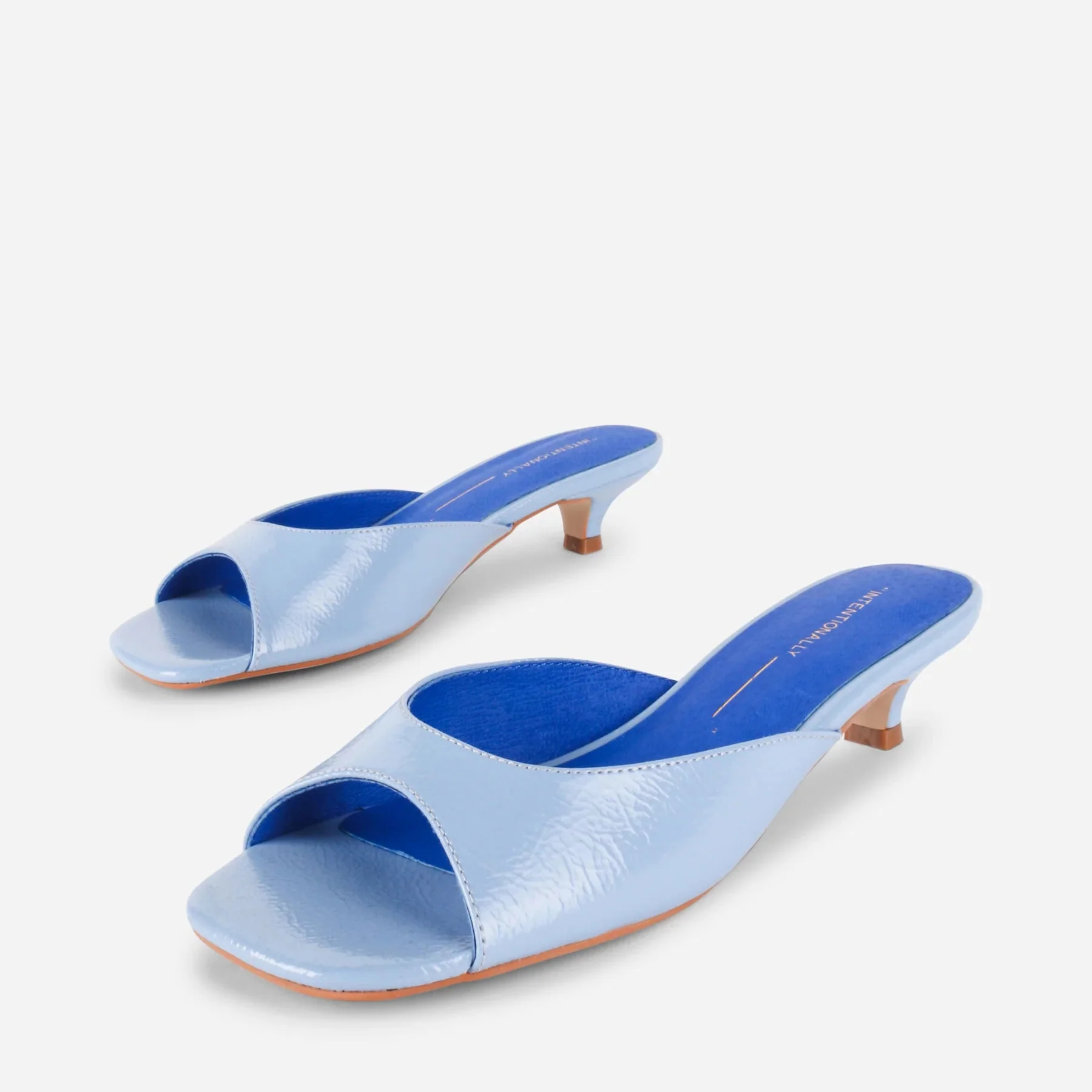 INTENTIONALLY BLANK CEE SLIDES IN LIGHT BLUE