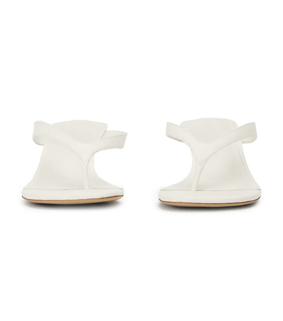 TONY BIANCO KRISTA THONG - Image 4